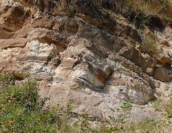 diatomite, photo credit: Tommy from Arad, wikimedia commons