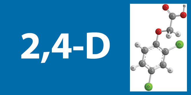 opiniones-de-2-4