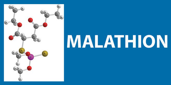 chemical name and molecule