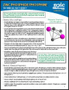 technical fact sheet image