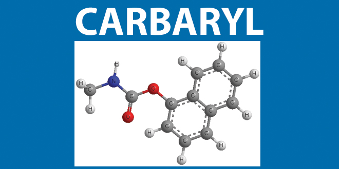 Carbaryl