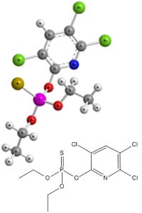 is chlorpyrifos harmful to dogs