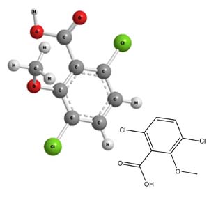 dicamba 2 4 d