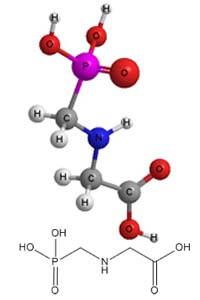 Glyphosate - American Chemical Society