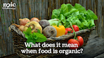 organic vs. conventinal food