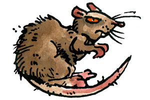 Can Rat Poison Kill Humans?