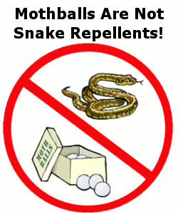 Is Snake Away Harmful To Pets - Snake Poin