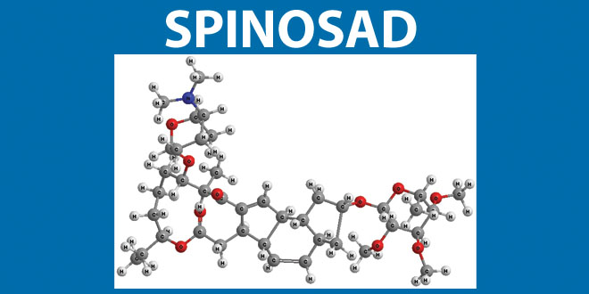 Spinosad toxicity to humans