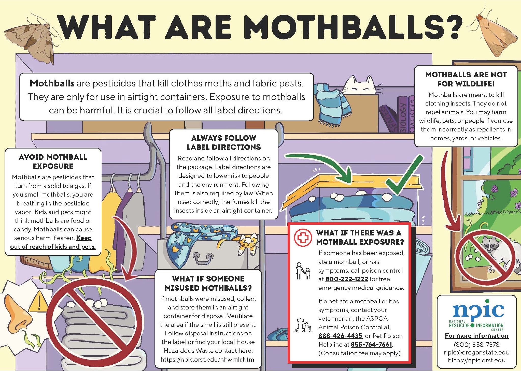 mothball infographic, image credit: NPIC
