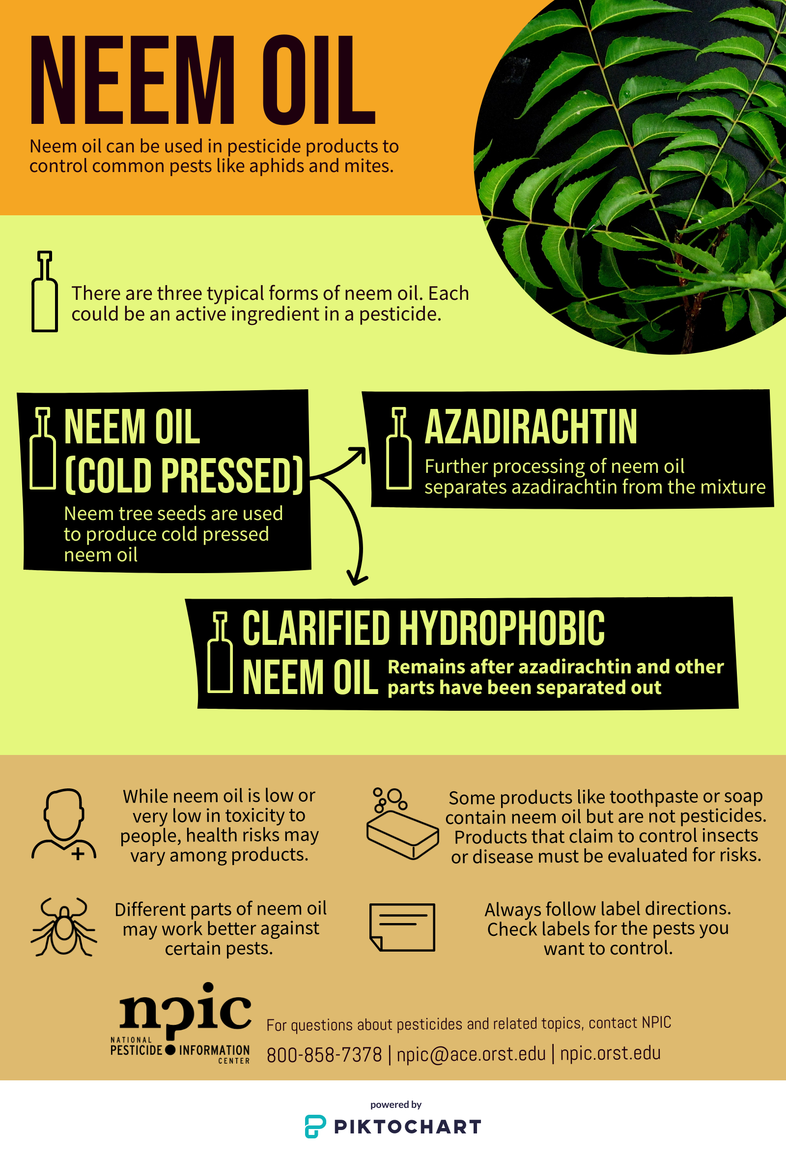 All about Potassium Soap and Neem Oil for plague control 