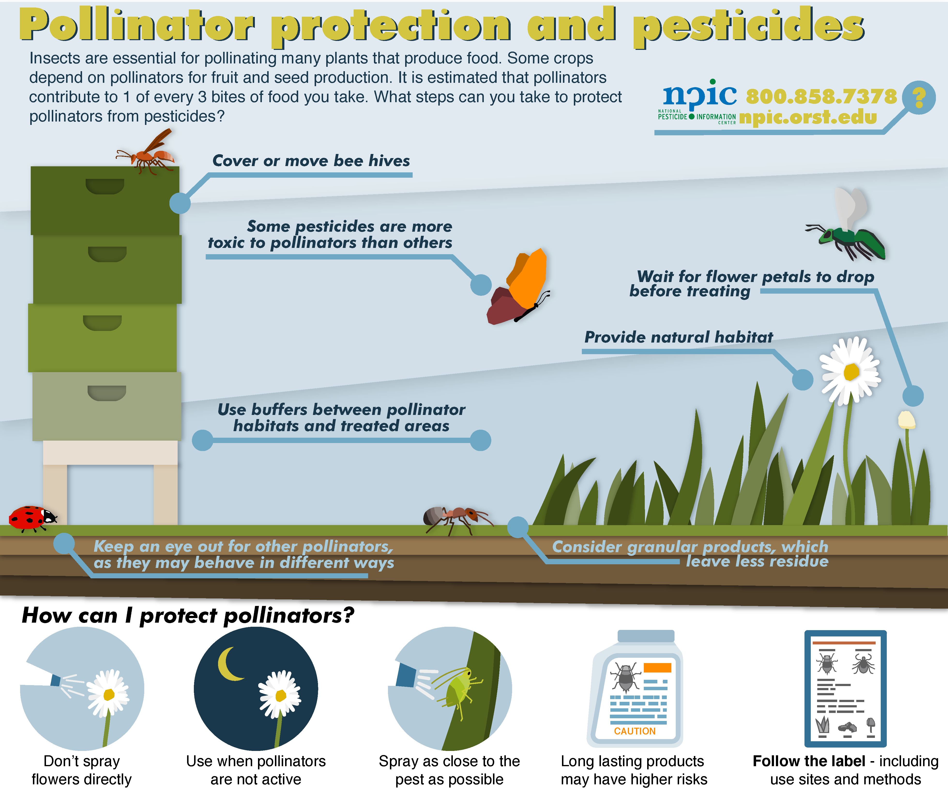 Pesticides, Bees and Plant-Pollinator Interactions, Thursday, Dec. 14,  2023, 11 a.m. - 12 p.m. PST - News & Events - UI Extension in Boundary  County