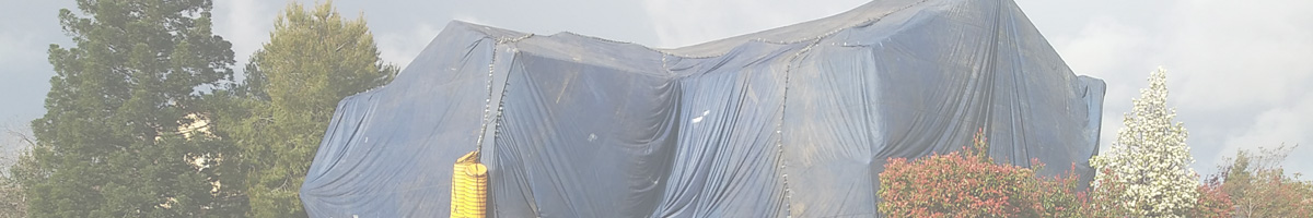 house getting fumigated, photo credit: NPIC